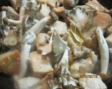 鶏肉ときのこのトマトクリーム煮作り方3写真