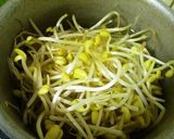 ✿ヘルシー♬豆もやし牛角風✿作り方1写真