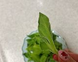アイスプラントの簡単過ぎる美味しい食べ方作り方3写真