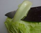キャベツの千切り作り方5写真
