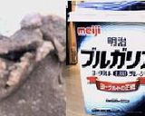 鶏もものにんにく味噌ヨーグルト漬作り方1写真