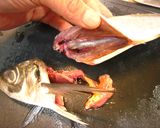 アジ刺しヅケ丼・アジのさばき方作り方8写真