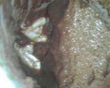 簡単　チョコムース作り方4写真