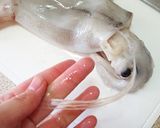 スルメイカの塩バター焼き◆イカの捌き方付作り方3写真