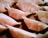 我が家のヘルシー鶏もやしぎょうざ♪作り方3写真