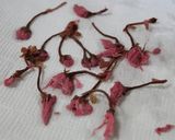 ひな祭りカラー♪苺と桜の抹茶ロールケーキ作り方3写真