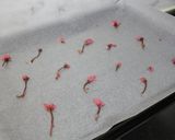 ひな祭りカラー♪苺と桜の抹茶ロールケーキ作り方4写真