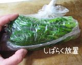 減塩美味しく和えましょ【菜の花芥子和え】作り方7写真