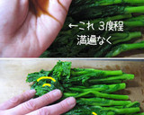 減塩美味しく和えましょ【菜の花芥子和え】作り方6写真