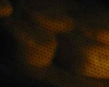 さっくりスコーン作り方12写真