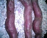 フライパンde石焼き芋作り方3写真