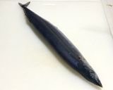 秋刀魚としらすの和風ペペロンチーノ作り方1写真