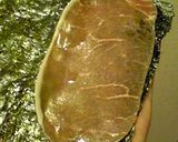 まるでつきたて　生ハムチーズ餅作り方7写真