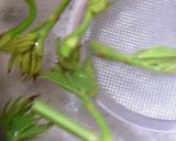 ウドとレンコンの混ぜご飯（混ぜ寿司）作り方3写真