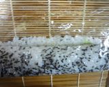 失敗なしのカルフォルニア巻き作り方6写真