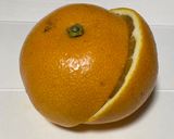 簡単、手が汚れないハッサクの切り方作り方1写真