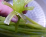蕗（フキ）と干しエビの炊き込みご飯作り方3写真