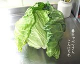 春限定【春キャベツのくたっと煮】食うて。作り方3写真