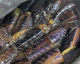 自家製めんつゆでナスの煮浸し作り方6写真