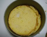 イチゴのババロアケーキ作り方17写真
