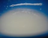 ♫はちみつレモン♡パン♫作り方7写真