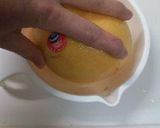 パインとグレープフルーツ燃焼系スムージー作り方2写真