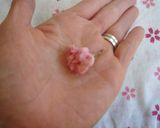 さくら緑茶パン作り方10写真