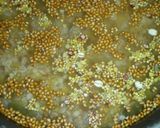 発芽玄米ご飯作り方4写真