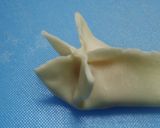 簡単♪『海老と枝豆の蒸し餃子』作り方9写真