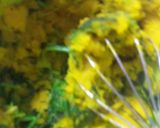 かぼちゃのコロッケ。作り方5写真