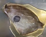 バトウの白だし焼き 大葉添え作り方1写真