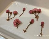 和風ロールケーキの抹茶求肥包み作り方51写真
