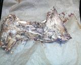 ※ごちそう！マグロかま※作り方4写真
