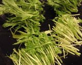 お鍋ひとつで♪　水菜とツナのパスタ☆作り方3写真