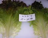 レタスで巻いた　カラフルライス作り方3写真