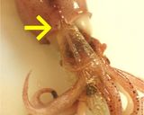 ***ほたるいか★ポン酢生姜***作り方5写真