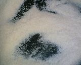 王子に捧げる☆油・卵なしの焼きコロッケ作り方1写真