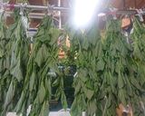 青シソドリンク作り方1写真