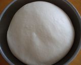ホシノ山食（長時間発酵）作り方5写真