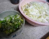 シンプル☆ 白菜チャンプルー作り方1写真