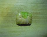 ロールキャベツのチーズ焼き作り方10写真