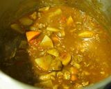 牛すじ肉のカレー(活力鍋使用)作り方6写真