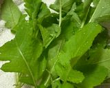 間引き大根菜のお味噌汁😻作り方1写真