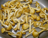 簡単！かぼちゃとなめこのクリーム煮作り方3写真