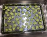 凍結粉砕枝豆(秘伝豆)inゼリー作り方1写真
