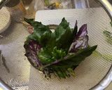 金時草とコリンキーのサラダ作り方3写真