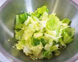辛くてウマい　たっぷり食べる春キャベツ作り方1写真