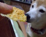 パリ　チーズ作り方6写真