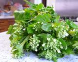 葉わさび＆花わさび　の食べ方作り方7写真