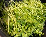爆速5分！豆苗の簡単にんにく中華風炒め作り方2写真